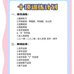 外国篮球训练师的训练内容规划